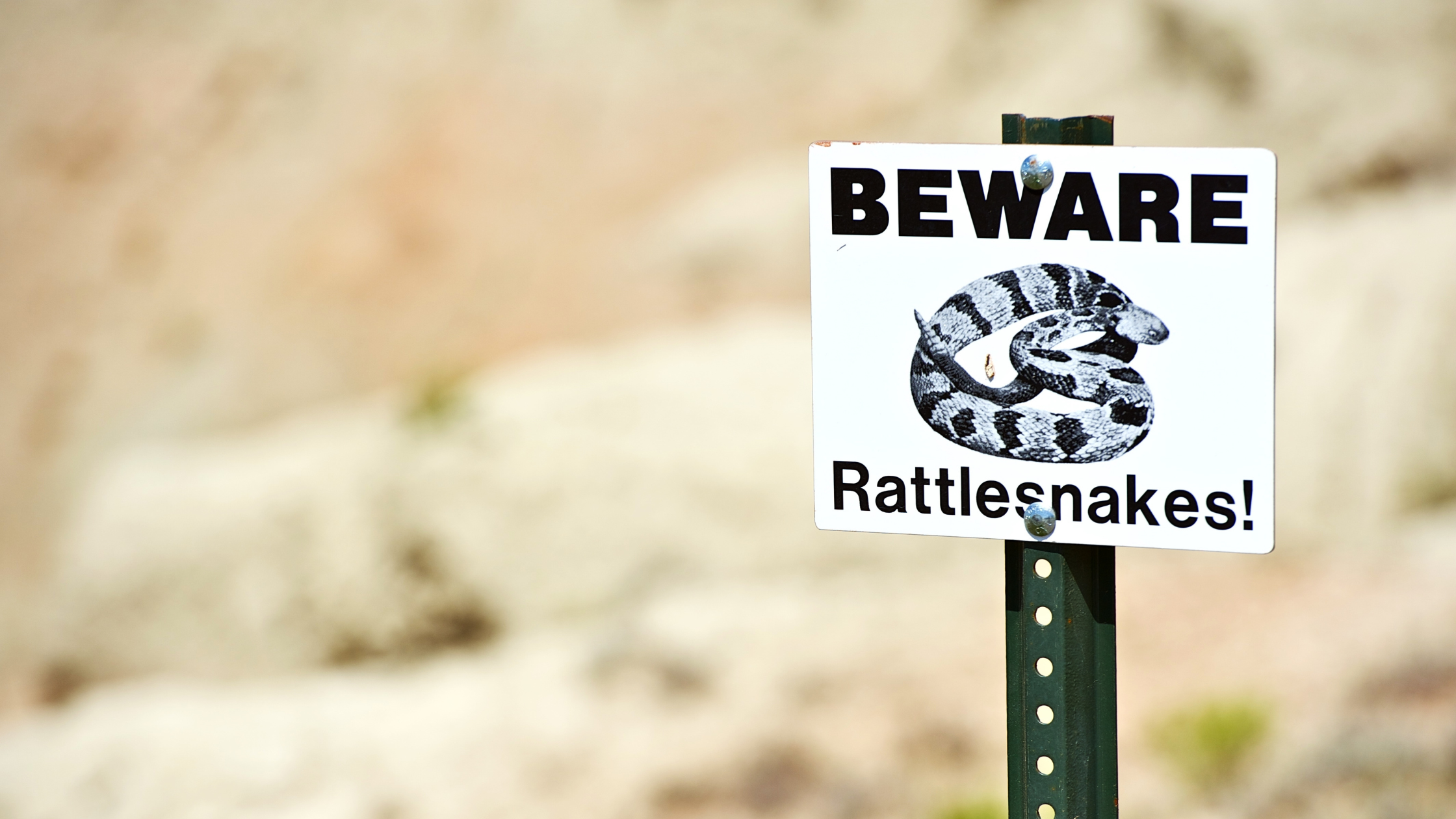 Rattlesnake Safety